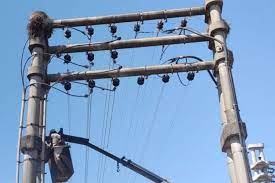 UN NIDO DE LOROS DEJÓ SIN ELECTRICIDAD A LA MITAD DE UNA LOCALIDAD DE CORRIENTES