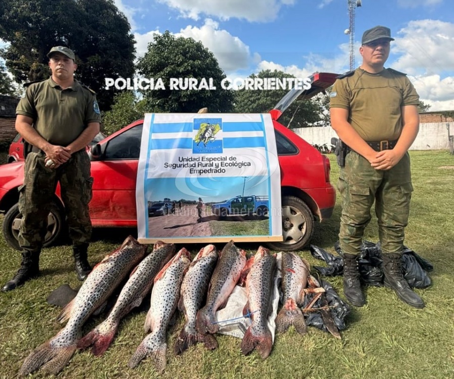 VOLVÍAN DE PESCAR Y LOS ATRAPARON CON SIETE SURUBÍES EN EL AUTO