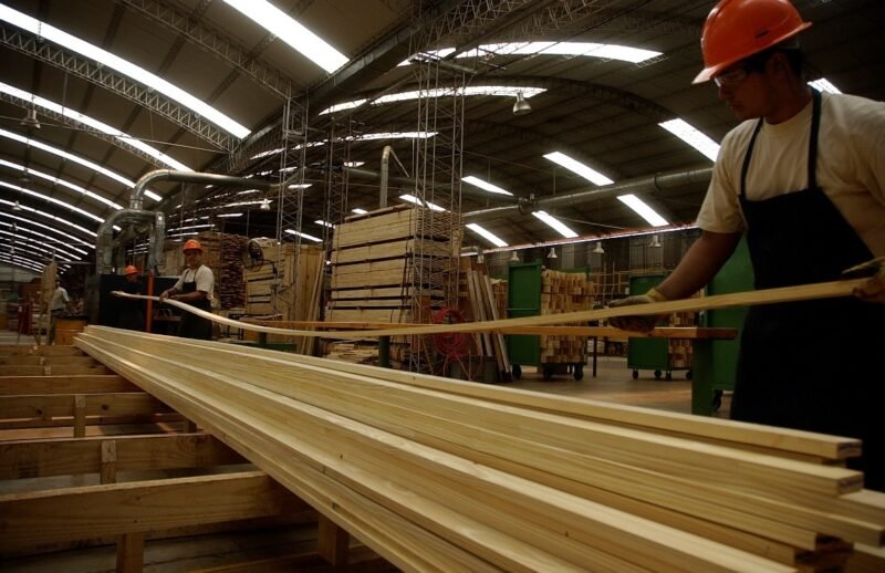LA INDUSTRIA FORESTAL PROFUNDIZA SU RECONVERSIÓN ANTE LA BAJA DEMANDA